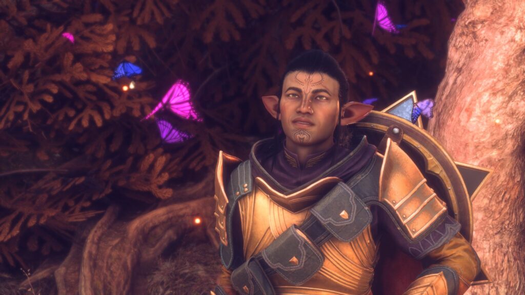 Akimi Aldwir, Veil Jumper elf warrior