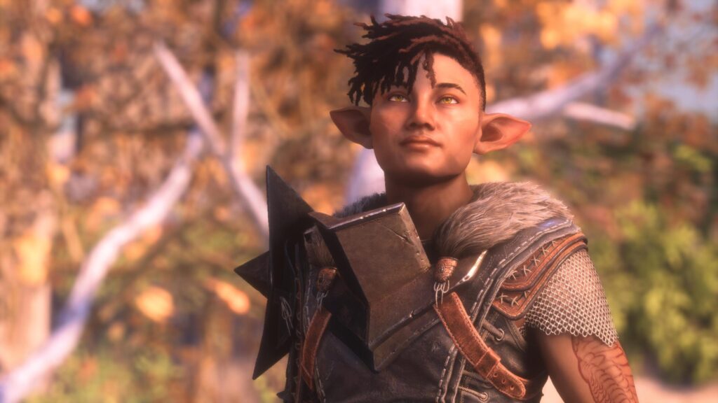 Haikina Laidir, Lords of Fortune elf warrior