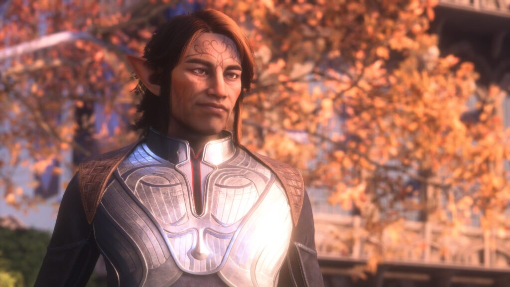 Tatsuo Thorne, Grey Warden elf warrior